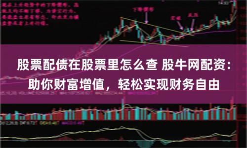 股票配债在股票里怎么查 股牛网配资:助你财富增值,轻松实现财务自由