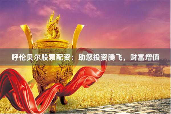 呼伦贝尔股票配资：助您投资腾飞，财富增值