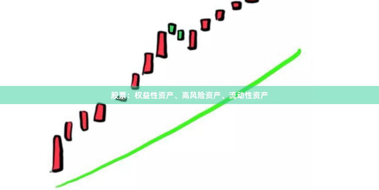 股票：权益性资产、高风险资产、流动性资产
