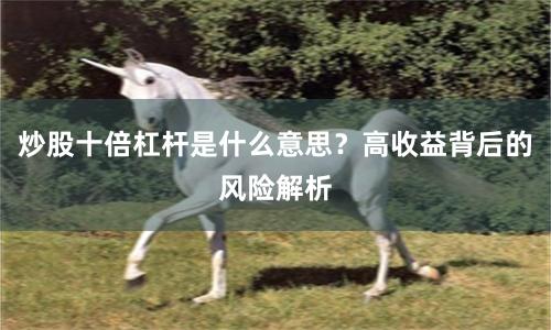 炒股十倍杠杆是什么意思？高收益背后的风险解析