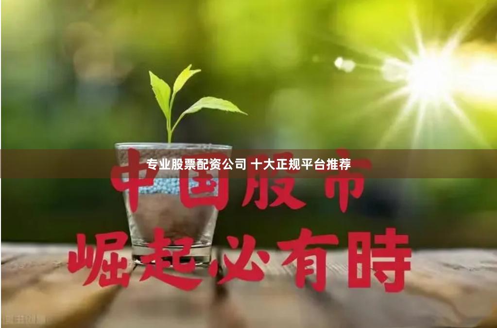专业股票配资公司 十大正规平台推荐